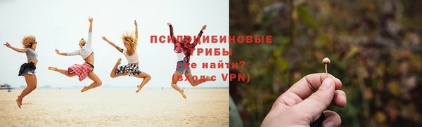 гидропоника Лагань