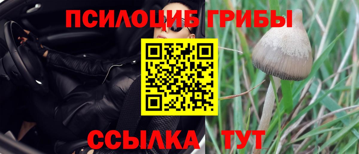 Псилоцибиновые грибы ЛСД Черняховск