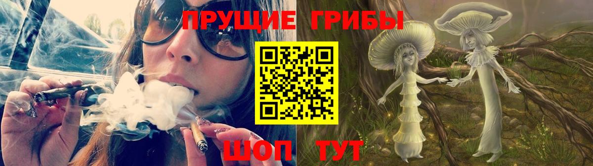 Галлюциногенные грибы прущие грибы  Вход с VPN  Черняховск  Псилоцибиновые грибы мицелий 